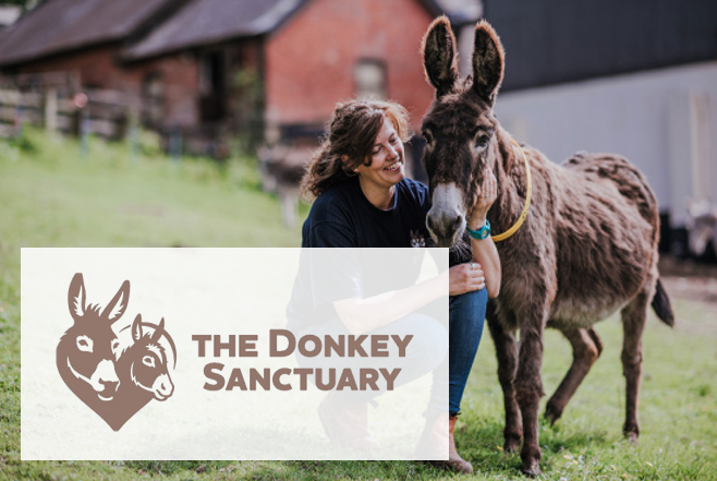 The Donkey Sanctuary600x400