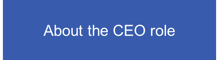 Menu button for: About the CEO role